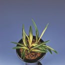 신안군민체육관 체육관 이미지