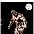 몸짱휘트니스 이미지