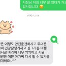 2931 | 안동여행 안동 한옥 숙소 추천 에어비앤비 한옥카페2931 내돈내산 후기