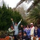 졸업 40주년 기념 제주 여행_ 1 이미지