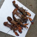 왜관ic실내바다낚시터 이미지