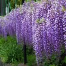 그린바다 이미지