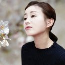 낙만 Daum카페