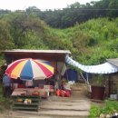 영분농장 이미지