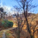 태자농장 이미지