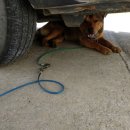 봉호농장 이미지