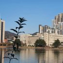 이경우치과의원 이미지