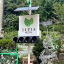 수피아호스텔 이미지