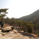 과천시청 이미지