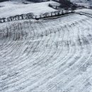 하늘내린한우 이미지