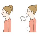 스텝업트레이닝 이미지