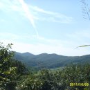 유왕골약수 이미지