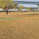 정촌 파크골프장 이미지