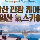 발왕산 관광케이블카 코스 이미지