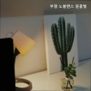 부평노블렌스원룸텔