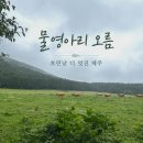 수망리입구 | 제주도 <물영아리 오름> 흐린 날 더 멋졌던 오름 방문 후기