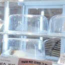 Slow Breeze(슬로우브리즈)