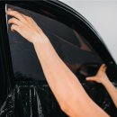 썬팅나라 - 북구 금재로 1 | 썬팅나라