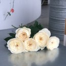 로즈향기 이미지