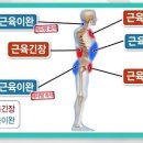 바른자세요가원 - 수원시 권선구 금호로 240-1 | 바른자세요가원