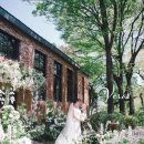 푸른나무사회적협동조합 이미지