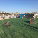 강아지 놀이터 이미지