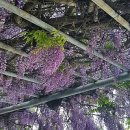 평리6동행정복지센터 이미지