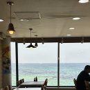 돌섬횟집 | 속초대게맛집 [돌섬대게횟집] 대게세트 솔직 후기