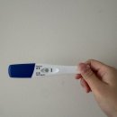 하버드약국 | 선물 가득한 2월의 기록들