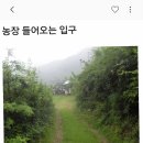 전남화순오지 과수원 염소 농장 매매 이미지