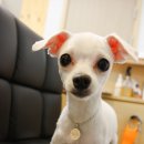 보리쌀롱 이미지