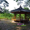 반곡1리 이미지