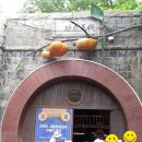 와인터널 이미지