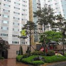 용구대로2469번길 이미지