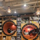 롤롤 | 영등포 타임스퀘어 만화카페 롤롤 가는 법, 영업시간, 이용권 종류와 후기