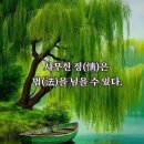 활터골경로당 Daum카페