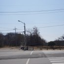 오성산단로 이미지