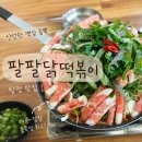 팔팔떡볶이탕정 | 탕정 맛집 팔팔닭떡볶이 내돈내산 낮술 후기