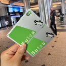 호텔수 | 일본도쿄여행 Day1 / 인천공항 나리타공항 호텔수이긴자교바시 미도리스시 도쿄역오카시랜드 긴자...