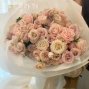 올로르 이미지