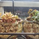 내서읍121 이미지