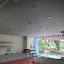 센텀애견샵 이미지