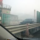 강화벤뎅이 이미지