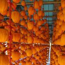 감골농장 이미지