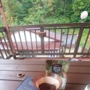 석달열흘가리 이미지