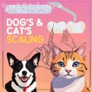 형제동물의료센터 이미지