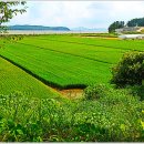 당산4리 마을회관 티스토리
