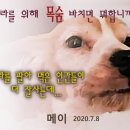 충성축산