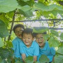 만세농장 이미지