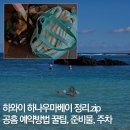 그늘막82 | 하와이 하나우마베이 예약 팁 방법 공홈 사이트 스노쿨링 준비물 주차